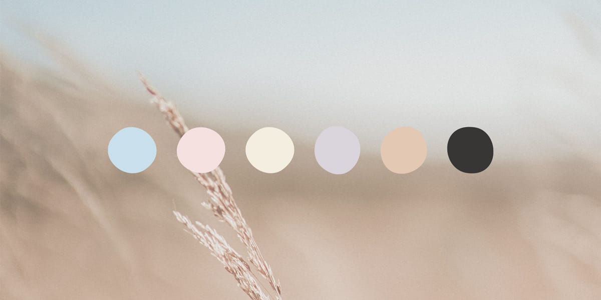 couleurs-noemie-durand palette de couleurs